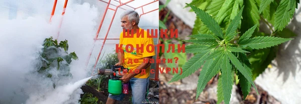 apvp Киреевск