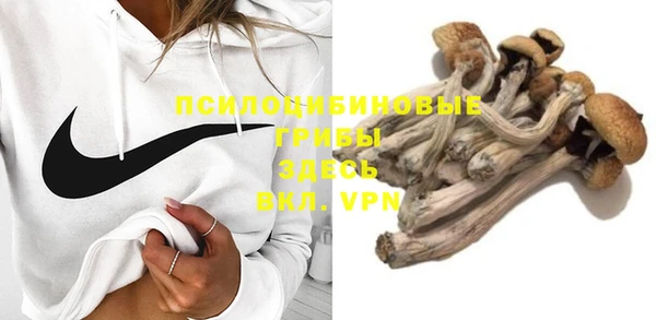 apvp Киреевск